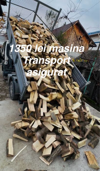 Vand lemn de foc diferite esente