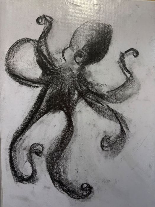 Скици с въглен 106 броя