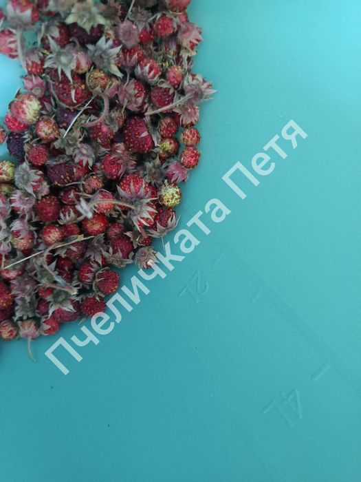 Домашно сладко от горски ягоди