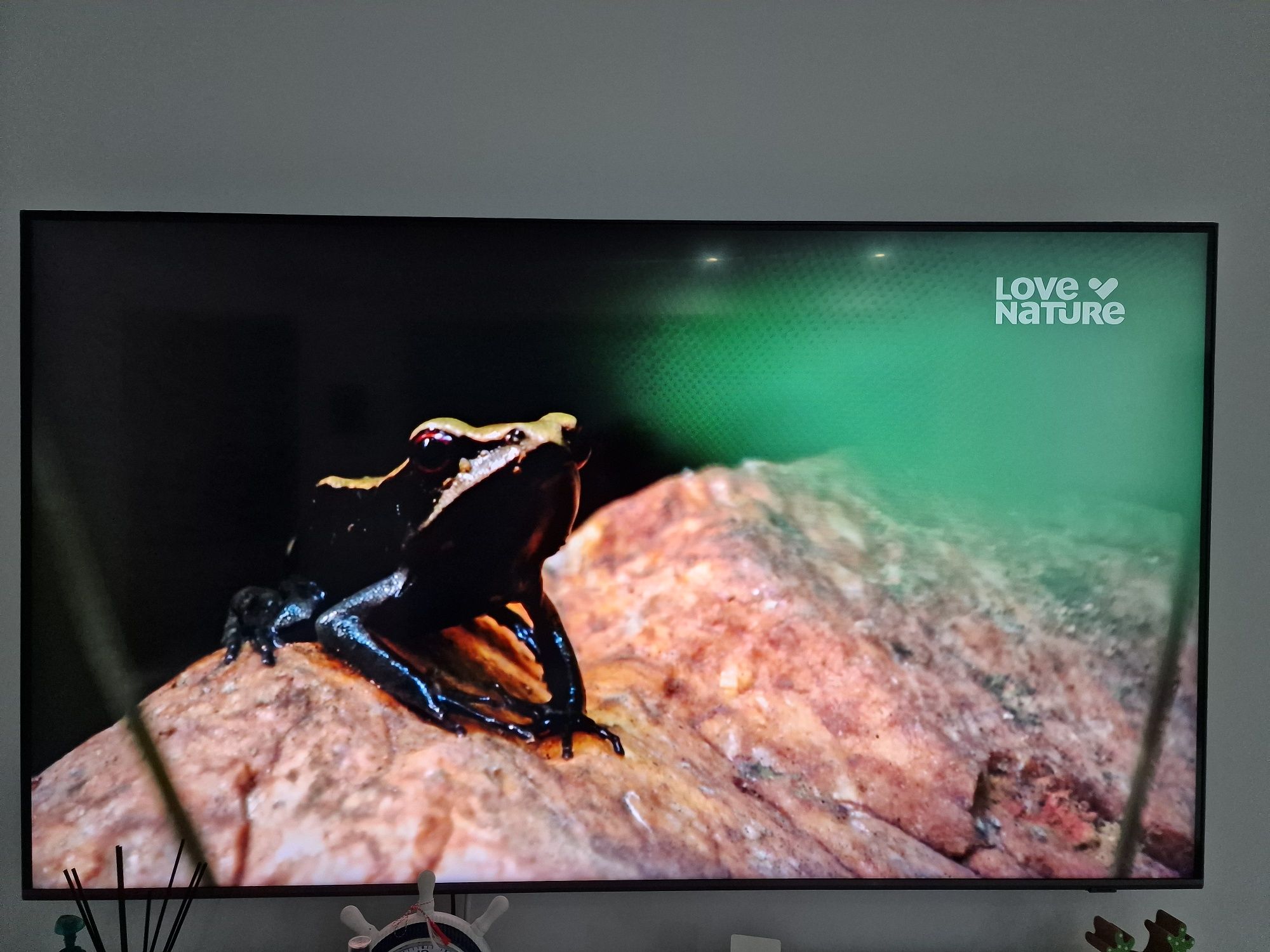 Televizor Samsung QLED 4K HDR 138 cm
