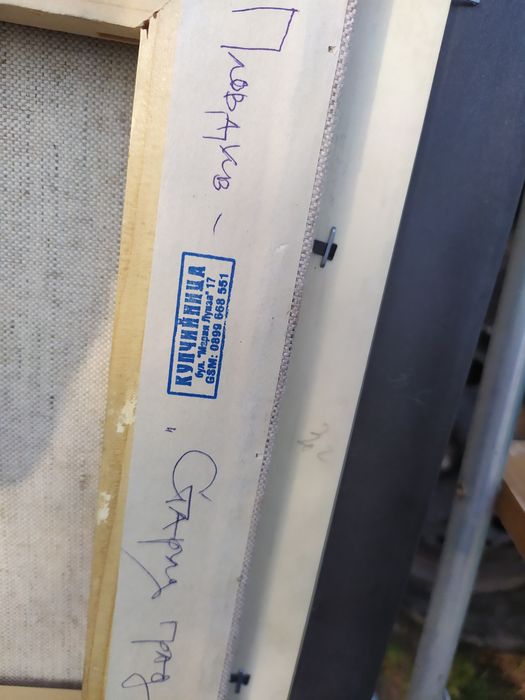 Картина живопис/Иван Дамянов