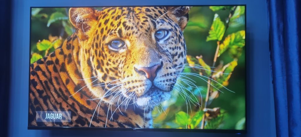 Assalomu alaykum 65 li  TV sotiladi  xolati yangi