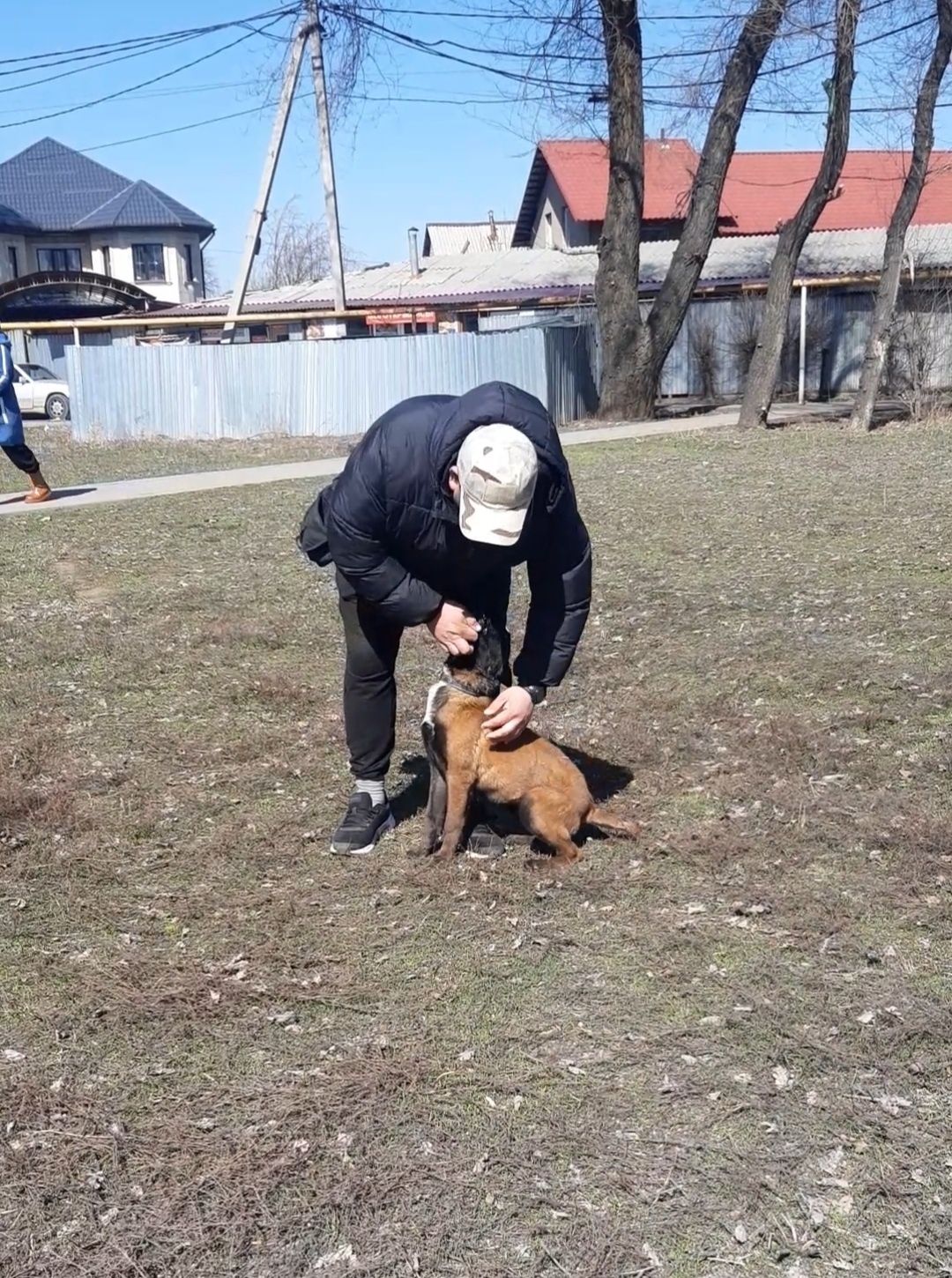 Дрессировка на площадке и с выездом на дом!!!