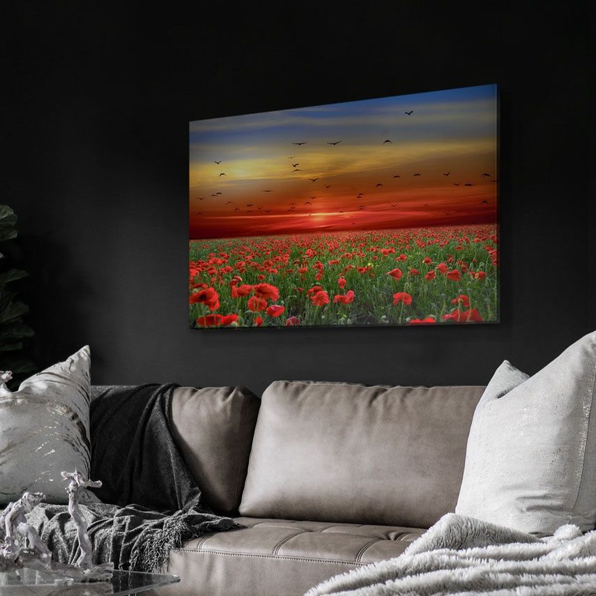 Tablou Canvas, Camp de maci 60x90 cm