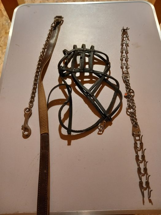 Zgarda forță, botnita și lesa caini talie mare