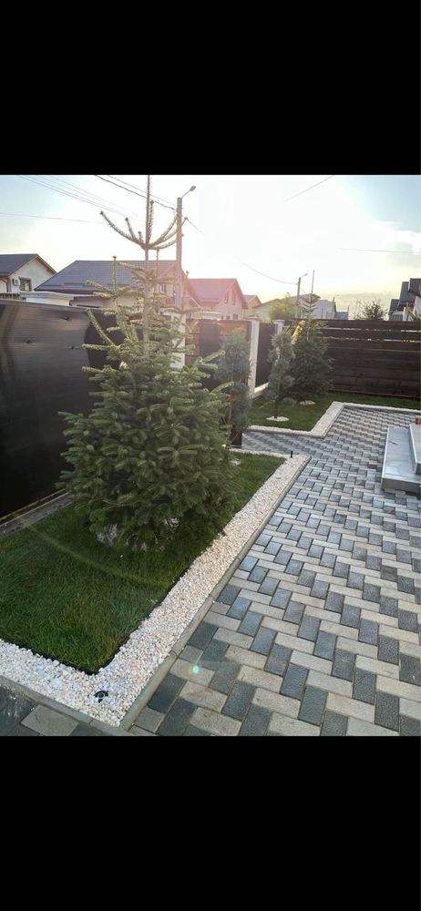 Vand si montez gazon rulou si plante ornamentale