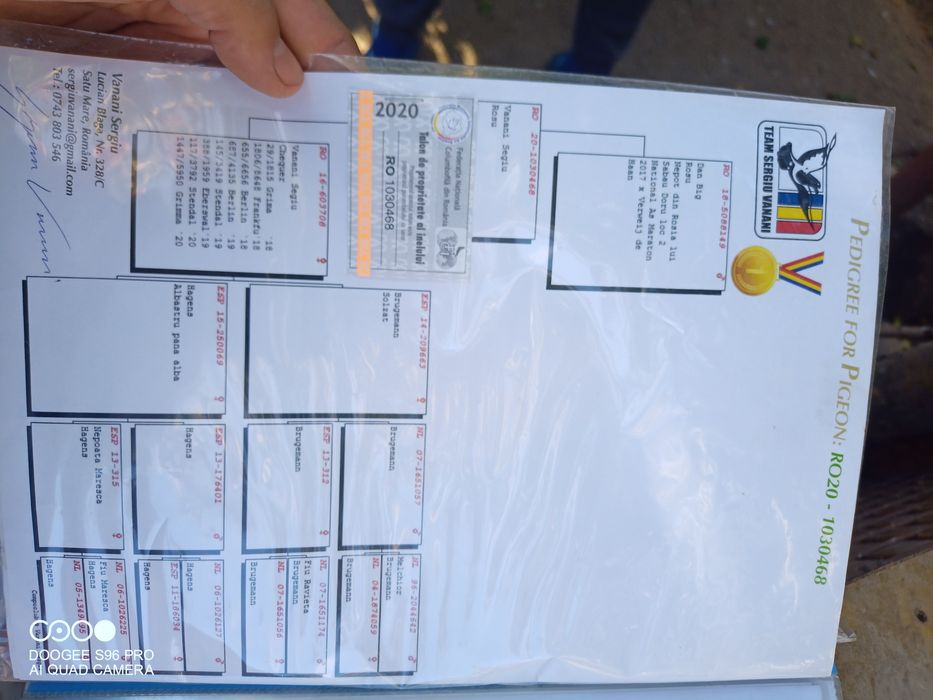 Voiajori cu pedigreu