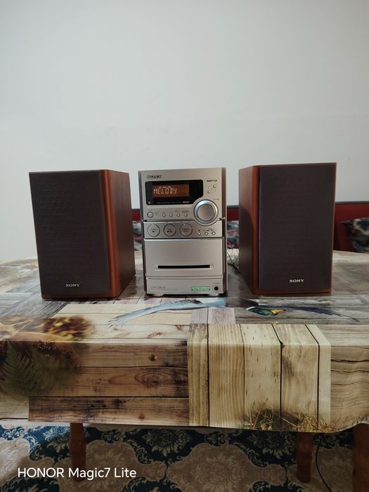 Аудио система Sony