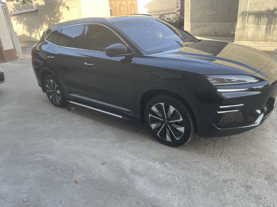BYD chempyon  restsling 2024 yli