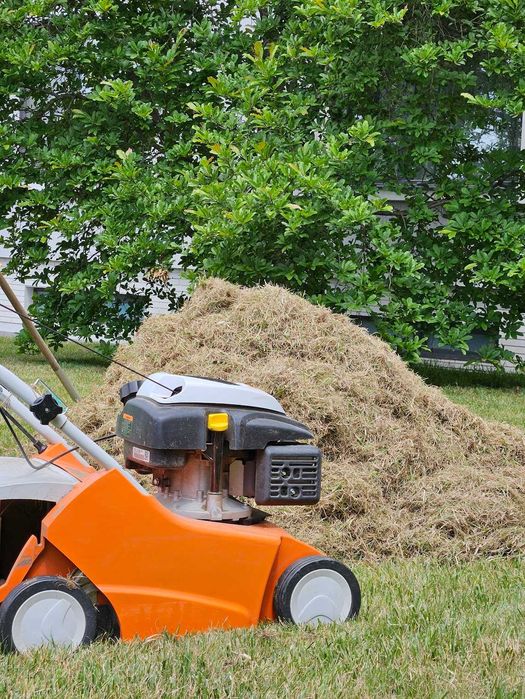 Îngrijire gazon, scarificare, aerare, însămânțare, irigații #Gardenix