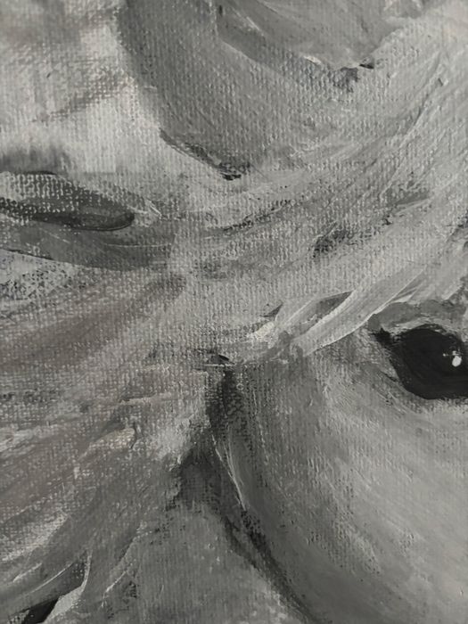 Tablou pictat de mana cal alb-negru gri