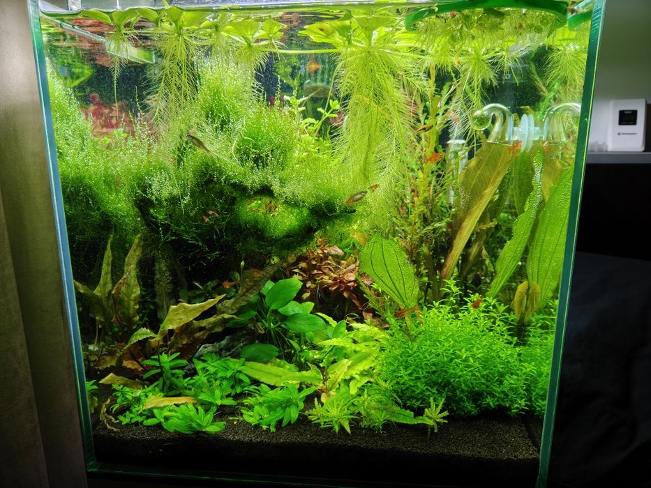 Lampa acvariu Chihiros A2 301 Max