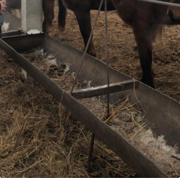 Продам кормушки для скота