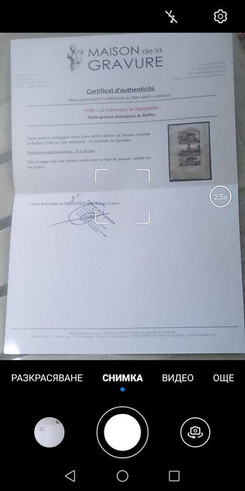 картина Тръстика със сертификат