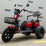 OFFROAD ДЕЗЪРТ триместна елентрическа триколка 350-7 2500W 2025