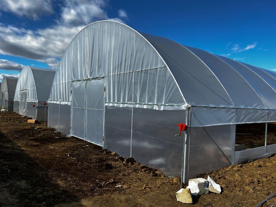 Solarii profesinoale