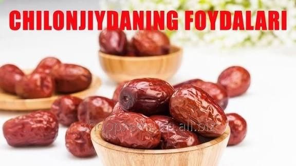 Jiyda жийда джийда чилон жийда Унаби Зизифус