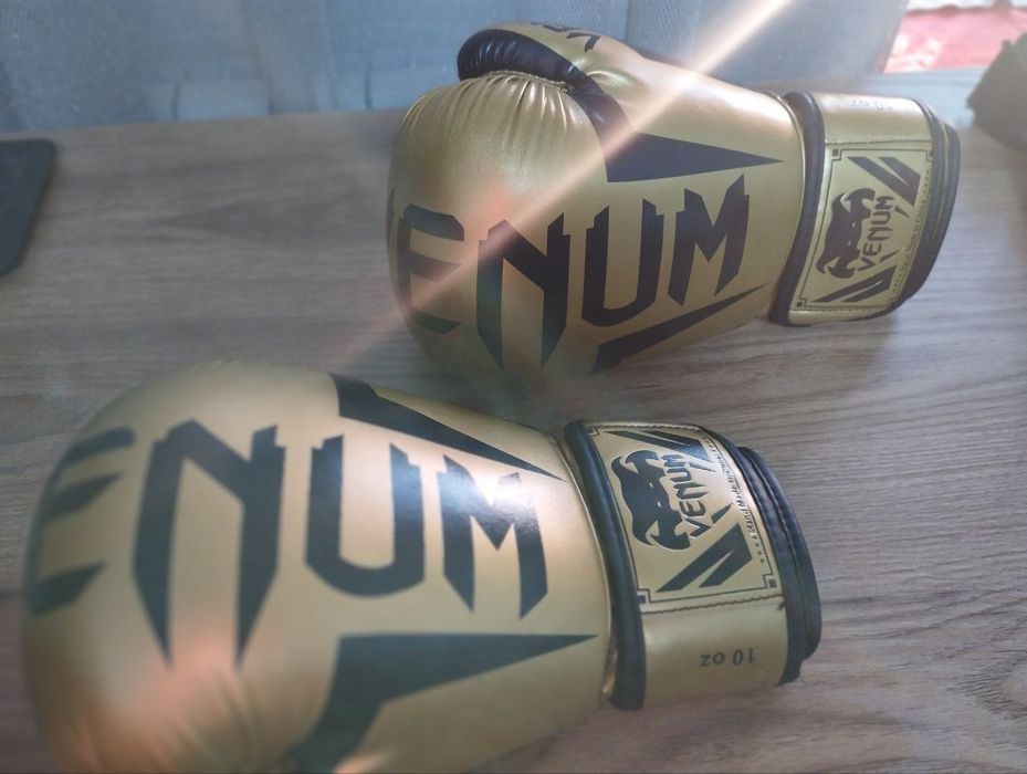 Перчатки и борцовки для кикбоксинга