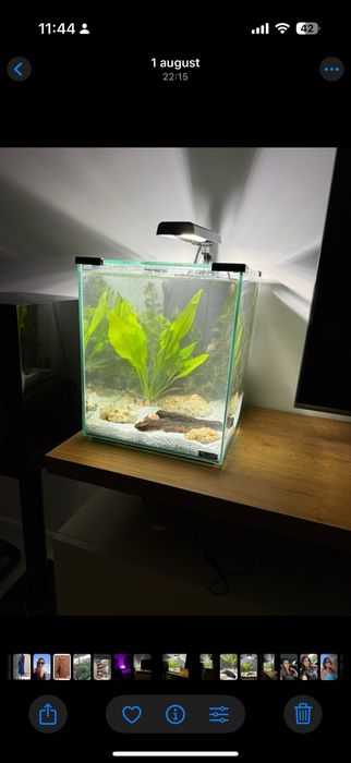 Acvariu complet echipat – gata de utilizare!