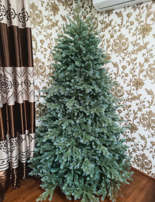 Ёлка люкс. Голубая ель.  Импорт для Европы.  Бесплатная доставка.