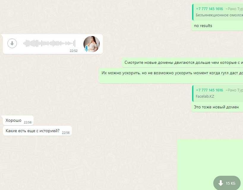 Создать бот, скрипт, WhatsApp, Telegram, Instagram разработка