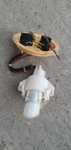Pompa de Motorina Rezervor BMW F10 F11 F12 F06 F07 GT Mufe