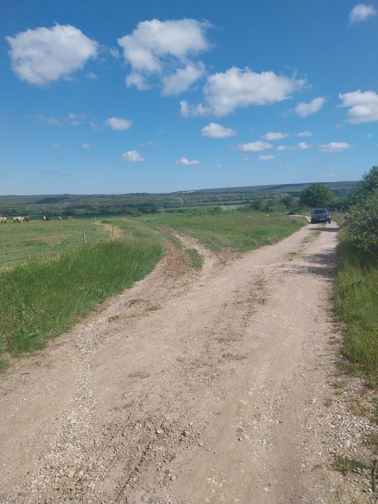 Парцел с.Детелина
