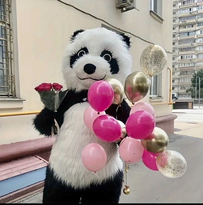 Костюми - Стип - Панда - Бяло мече - Блуи и приятели