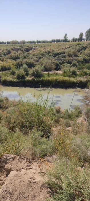 Kattaqoʻrgʻon tumanida Uzunboʻz qishloqda Yer uchaska SOTILADI