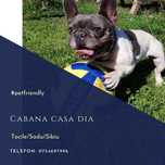Pet Friendly / Cabana Casa Dia / Sadu