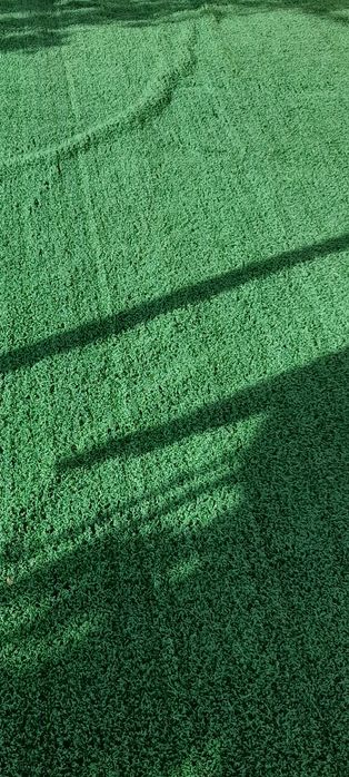 Газон средний кв 40.000сум