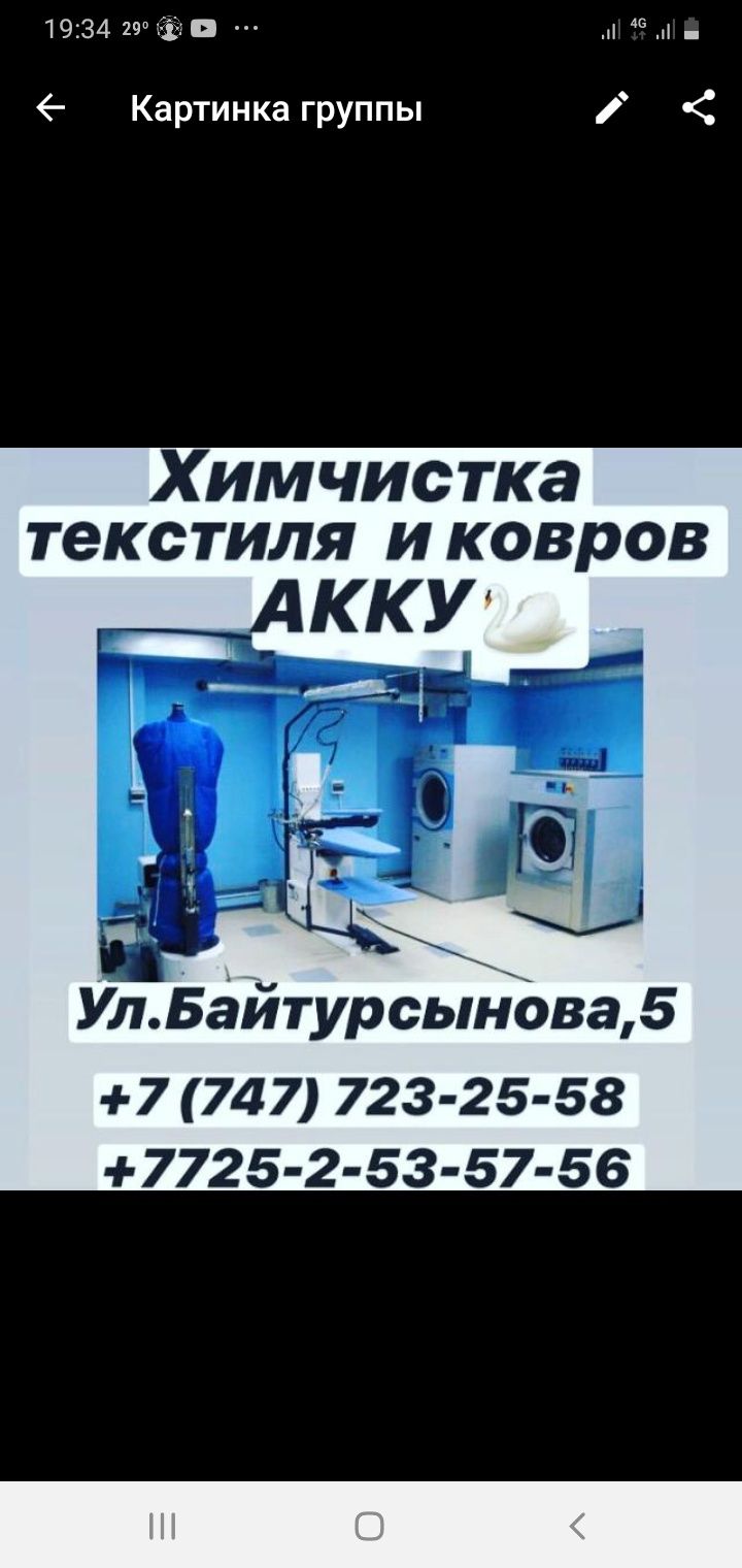 Химчистка ковров / химчистка