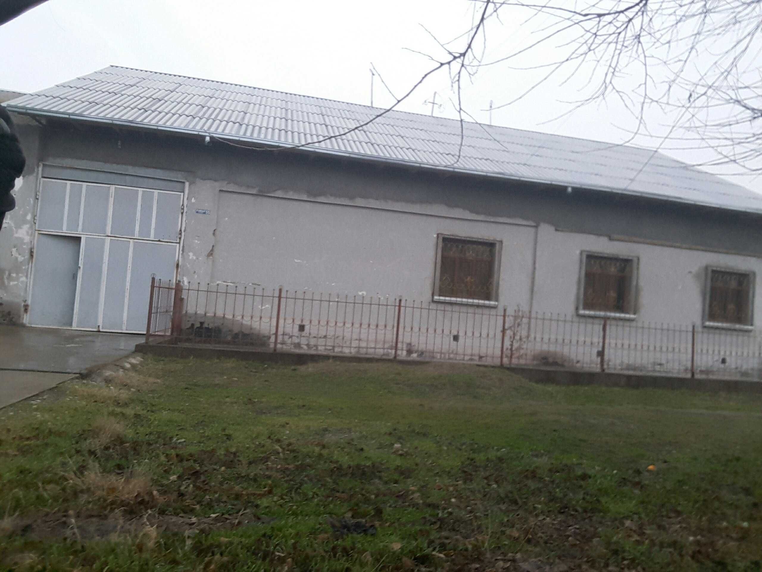 Tolko Strochno ташкент вилоятг аккурган тумани