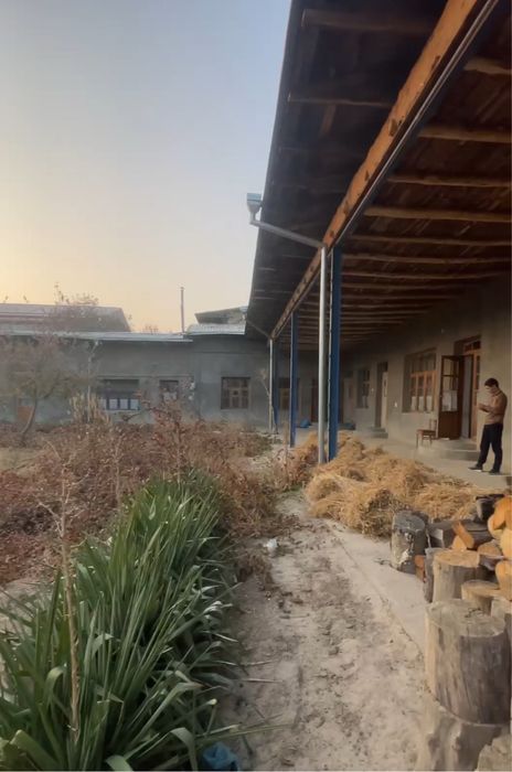 Toshkent tumani toshmi posti OLTIN TEPA