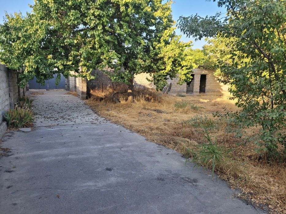 Земельный участок Новый Ташкент. Yer Yangi Ozbekiston. Yengi Toshkent