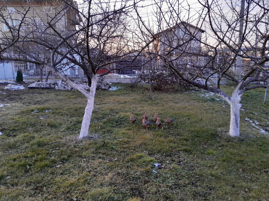 Дава се под наем Двустаен апартамент в София, Люлин 5 - 55 кв.м за 510 € - Снимка #10