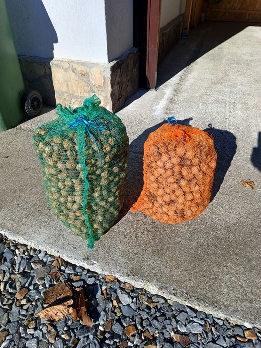 Nuci in coajă  2025