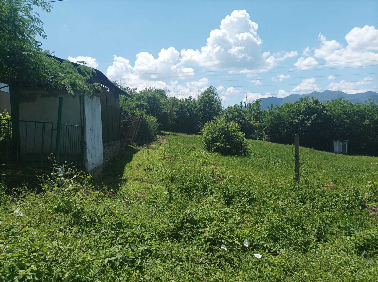 Продава се Парцел в Враца, Дъбника - 3000 кв.м за 7 €/кв.м - Снимка #3