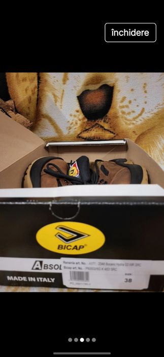 Bocanci protectie Hydra Renania, Bicap