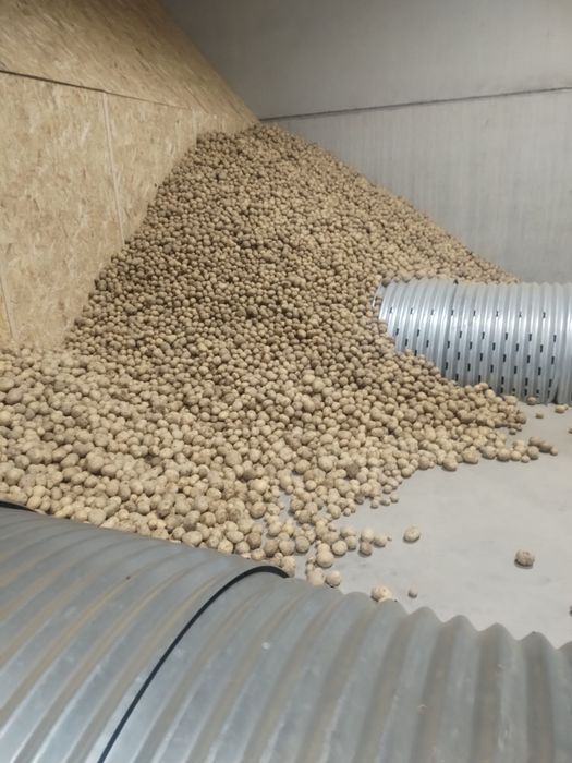 Cartofi riviera de vanzare