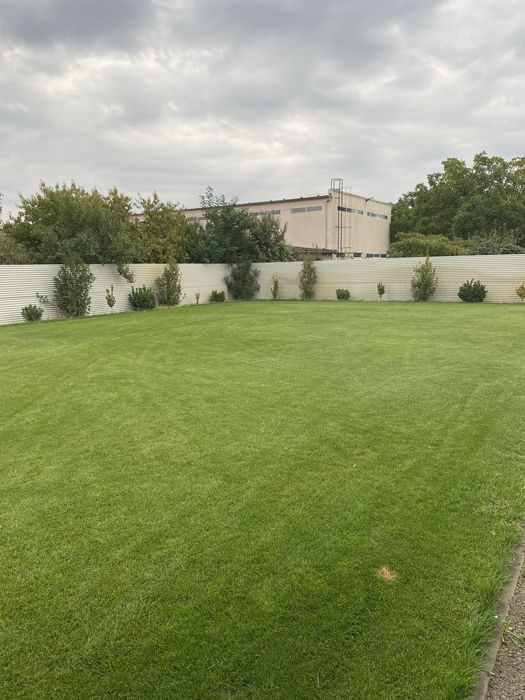 Curățenie în scări de bloc,birouri și întreținere spații verzi!!!