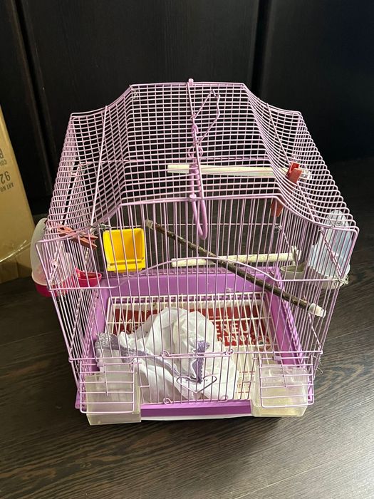 Cuști pentru păsări