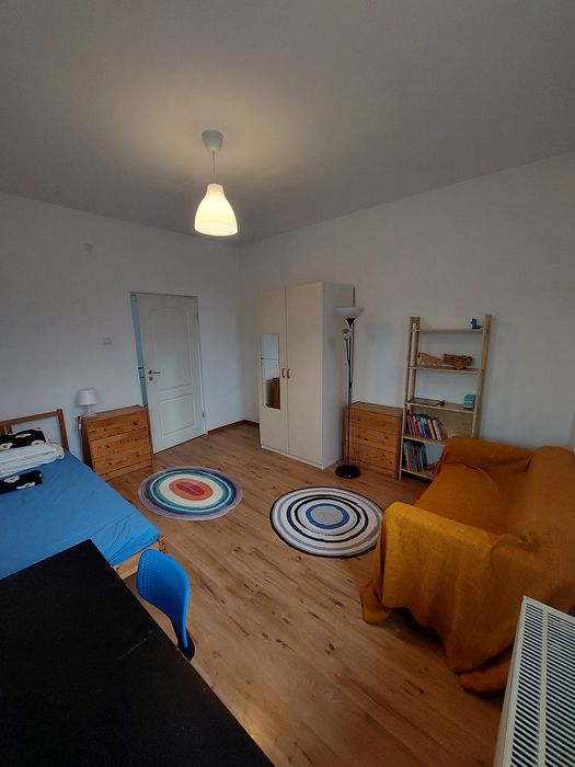 Proprietar, ofer spre închiriere casă în Calea Lipovei