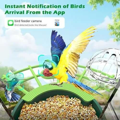 Нова Соларна камера хранилка за птици 4MP WiFi AI нощно виждане за дом