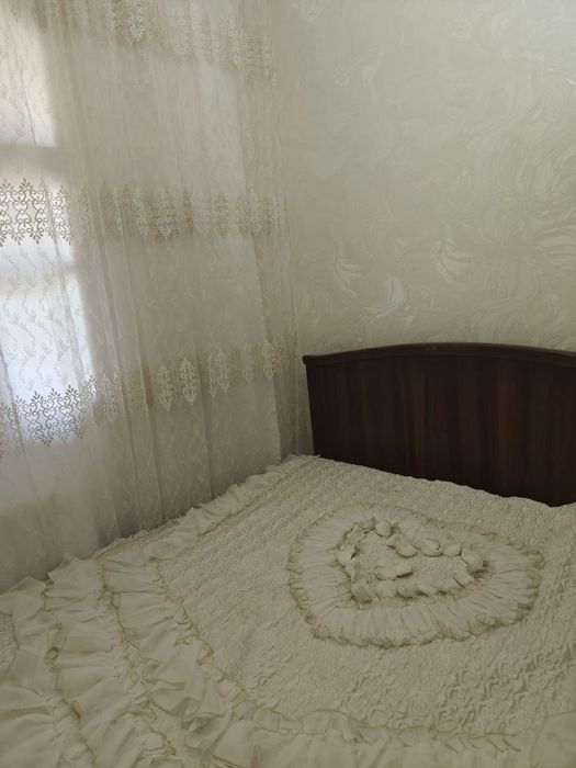 Семя,Парни,Студенты,Девушки,Семя и Гражданский брак
