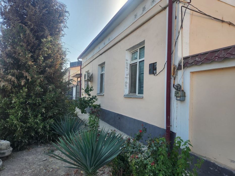 6-sotokli kotej sobir raximov