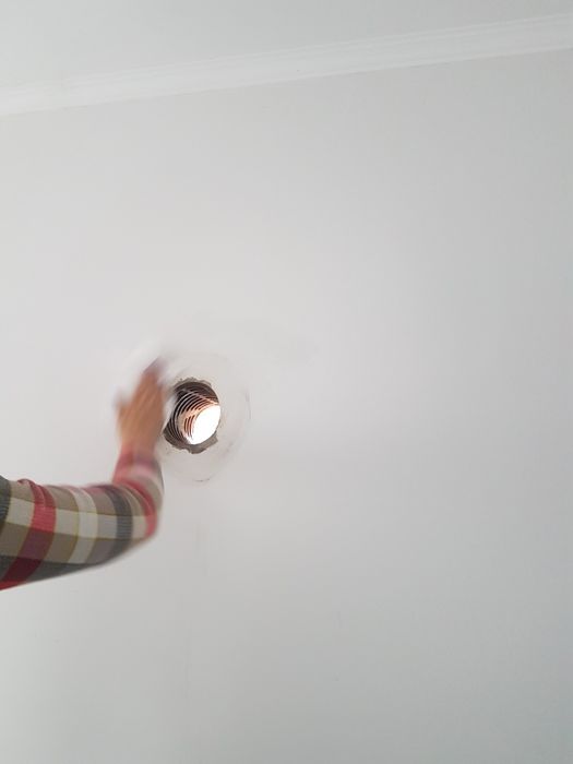 Gaura hota, gaura centrală, Lugoj