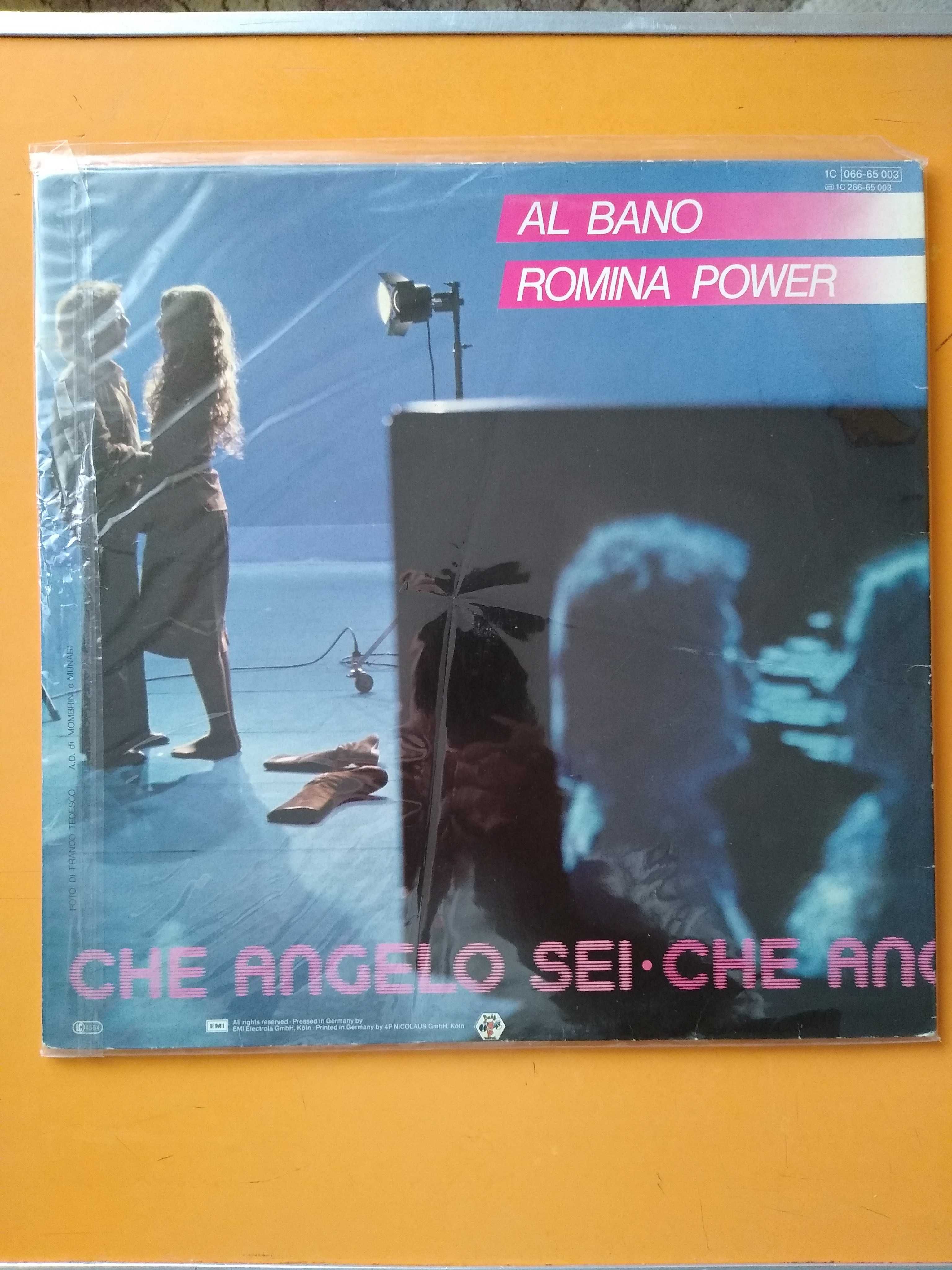 Vinyl, Vinil folii protectie pentru disc LP 30 cm