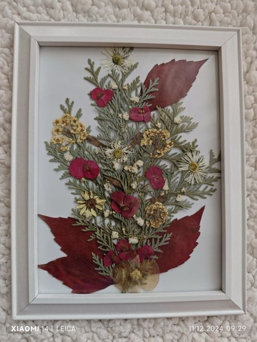 Картини с хербаризирани цветя