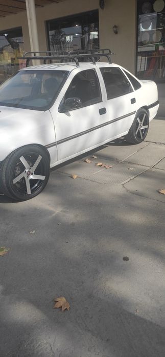 17 saka diska vossen